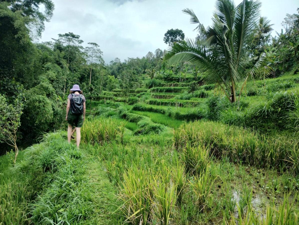 Girang Rinjani Bungalows Tetebatu Exterior foto