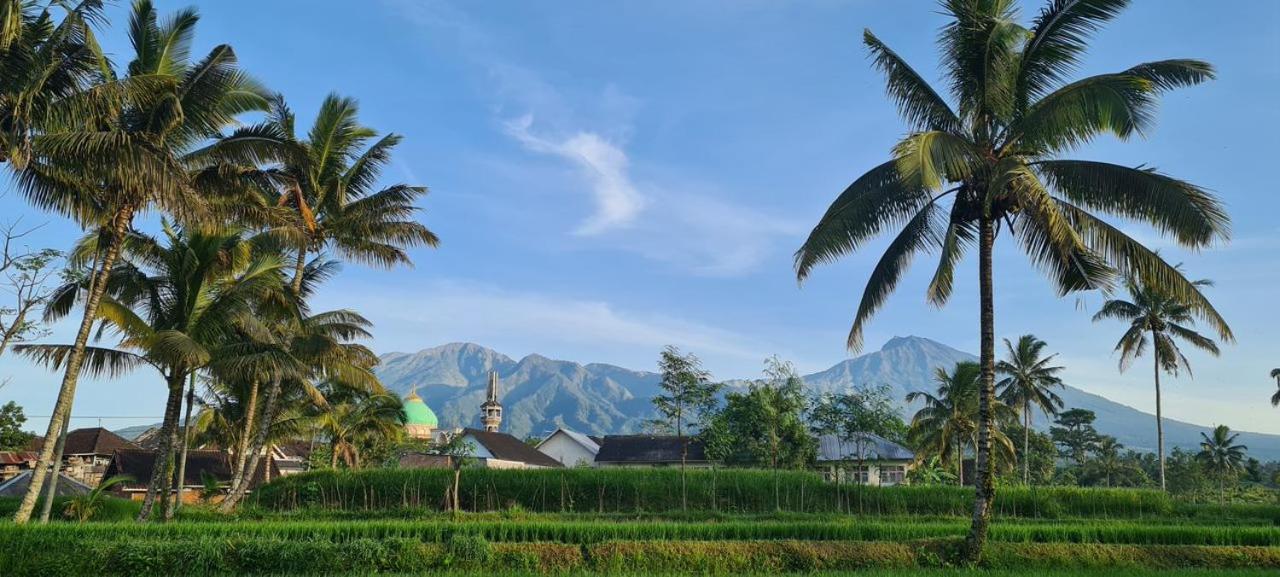 Girang Rinjani Bungalows Tetebatu Exterior foto