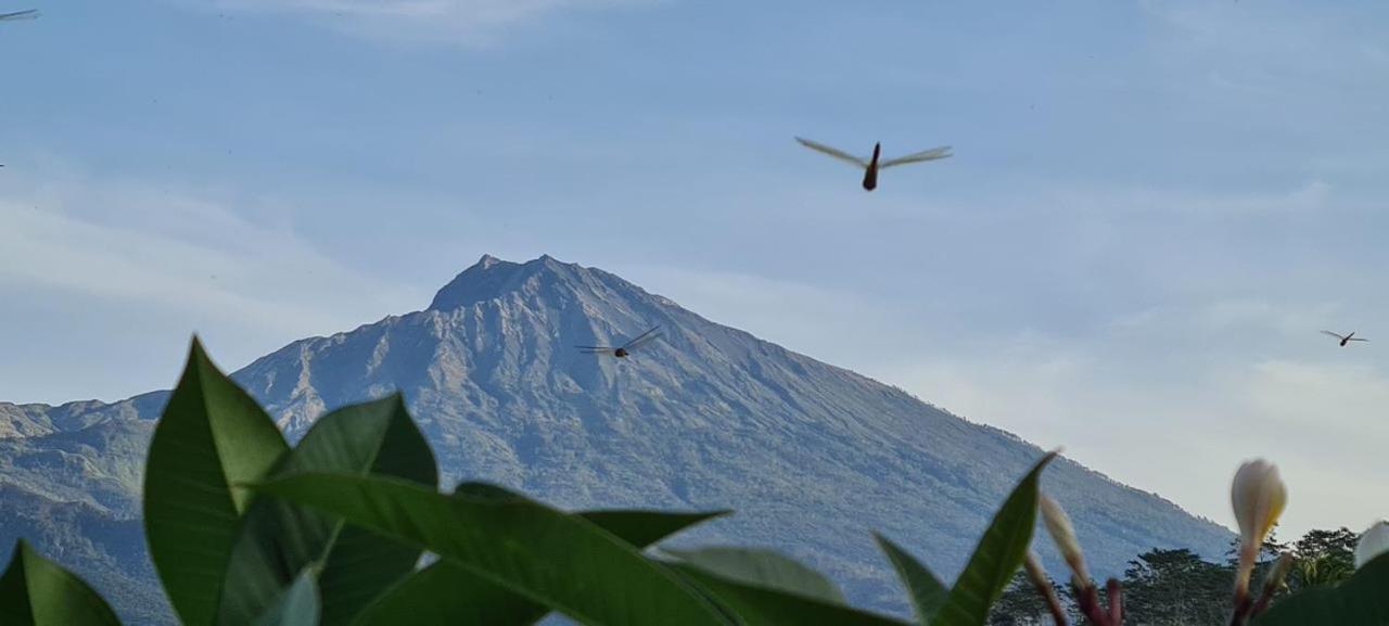 Girang Rinjani Bungalows Tetebatu Exterior foto
