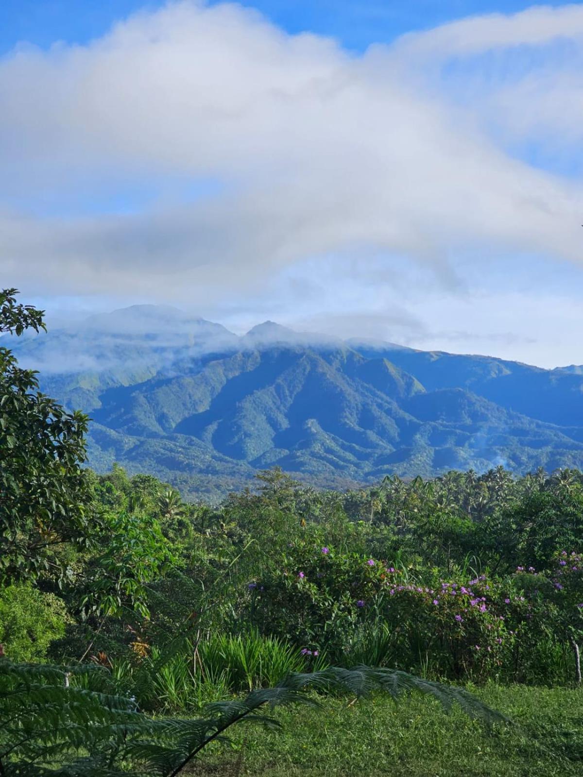 Girang Rinjani Bungalows Tetebatu Exterior foto