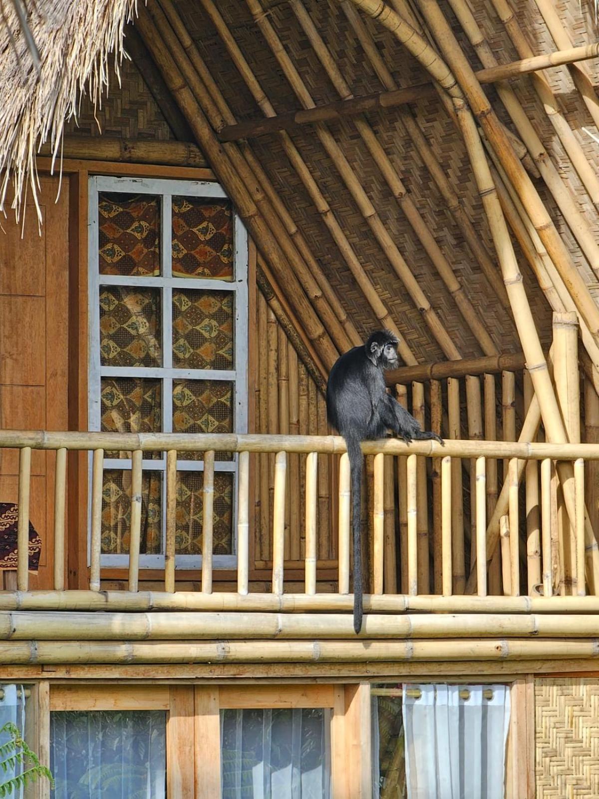 Girang Rinjani Bungalows Tetebatu Exterior foto